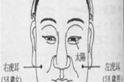 虚岁58岁男女流年面相 58岁虎耳  五十八嵗：虎耳